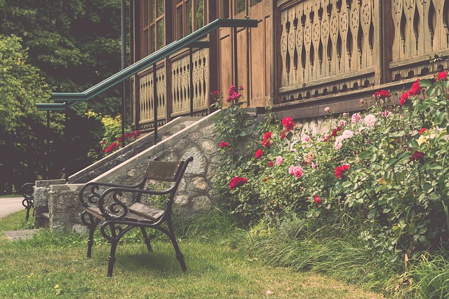 仅复制了利 仅复制了利
