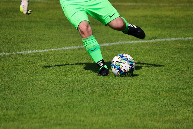 化努力的致 化努力的致